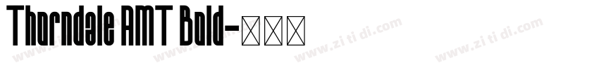 Thorndale AMT Bold字体转换